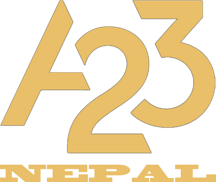 npa23.net Logo